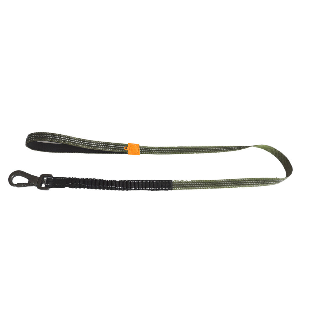 Laisse Premium AFP Off Street