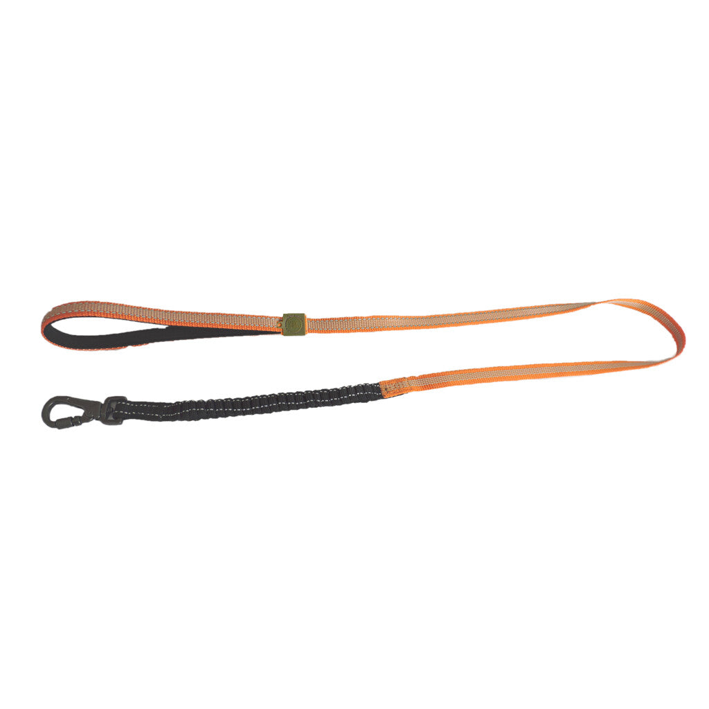 Laisse Premium AFP Off Street