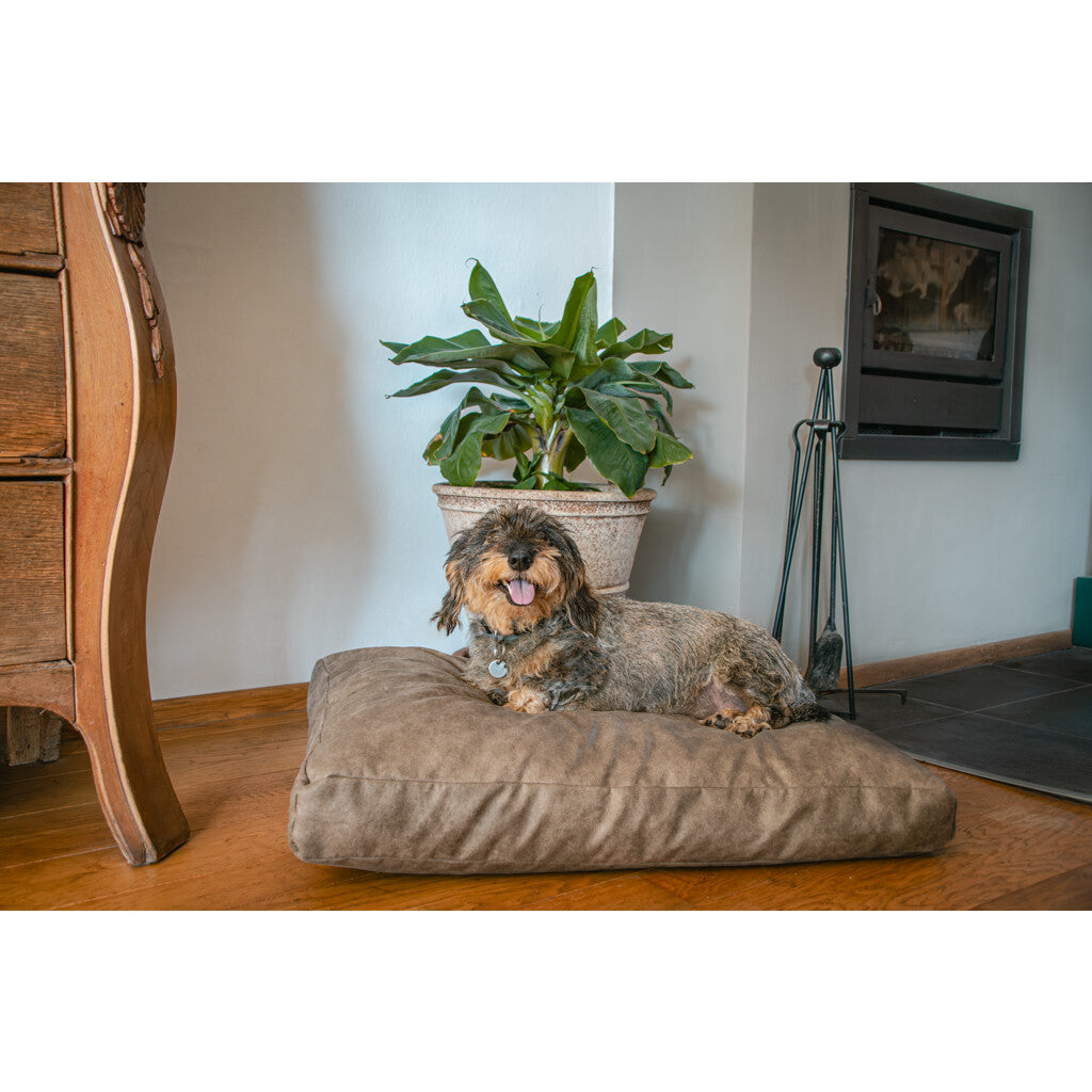Panier Chien Premium – Confort et Élégance