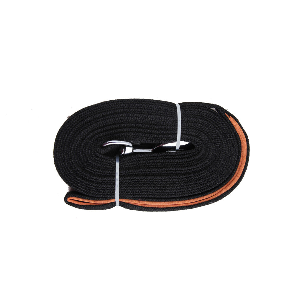 Longe pour Chien Premium – Éducation et Rappel