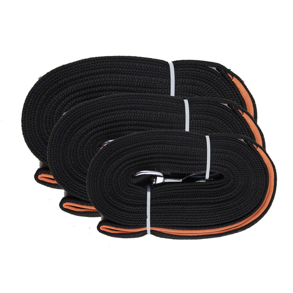 Longe pour Chien Premium – Éducation et Rappel