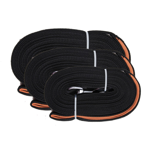 Longe pour Chien Premium – Éducation et Rappel