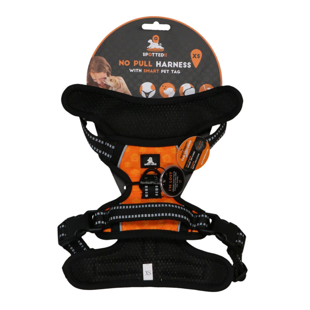 Harnais No Pull Premium – Spotted! Pro
