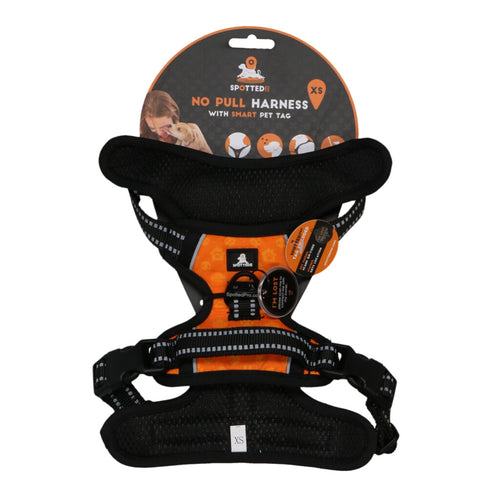 Harnais No Pull Premium – Spotted! Pro