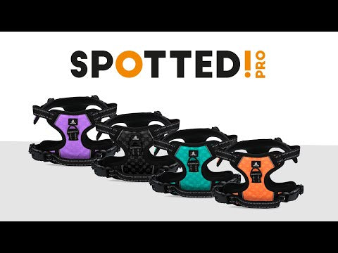 Harnais No Pull Premium – Spotted! Pro